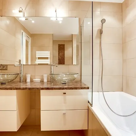 アジャンス Aici グレイ ダルビオン