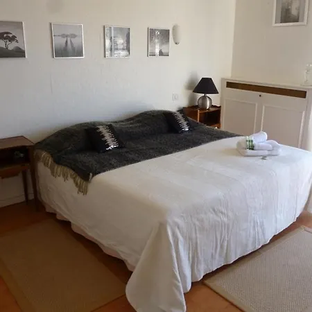 アジャンス Aici グレイ ダルビオン * カンヌ